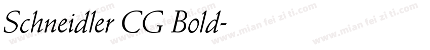 Schneidler CG Bold字体转换
